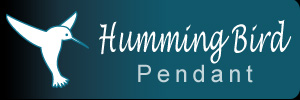 Humming Bird Pendant